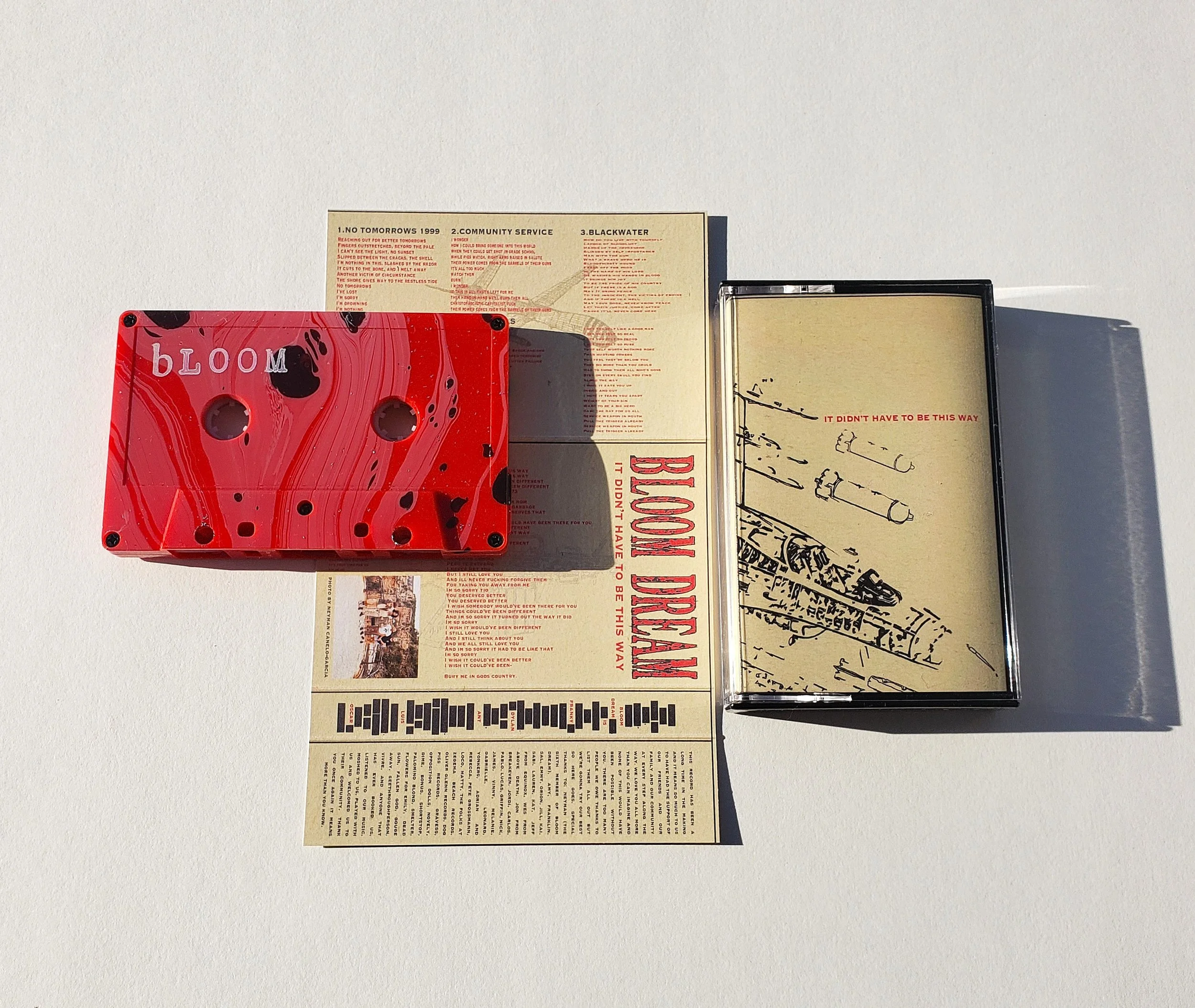 BLOOM DREAM - It Didn't Have To Be This Way (tape/cd